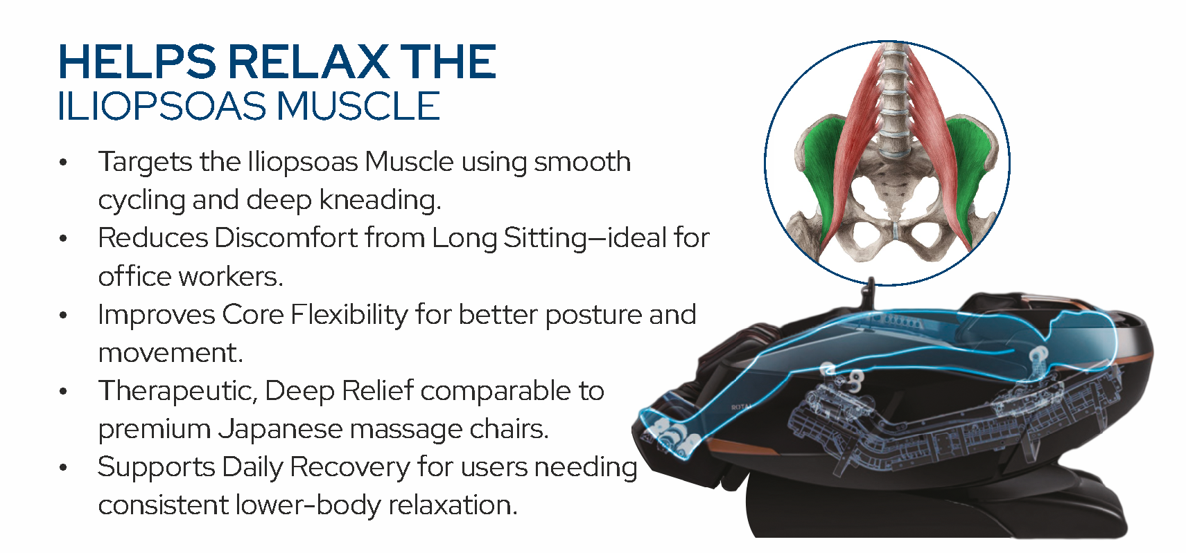 Helps Relax the Iliopsoas Muscle